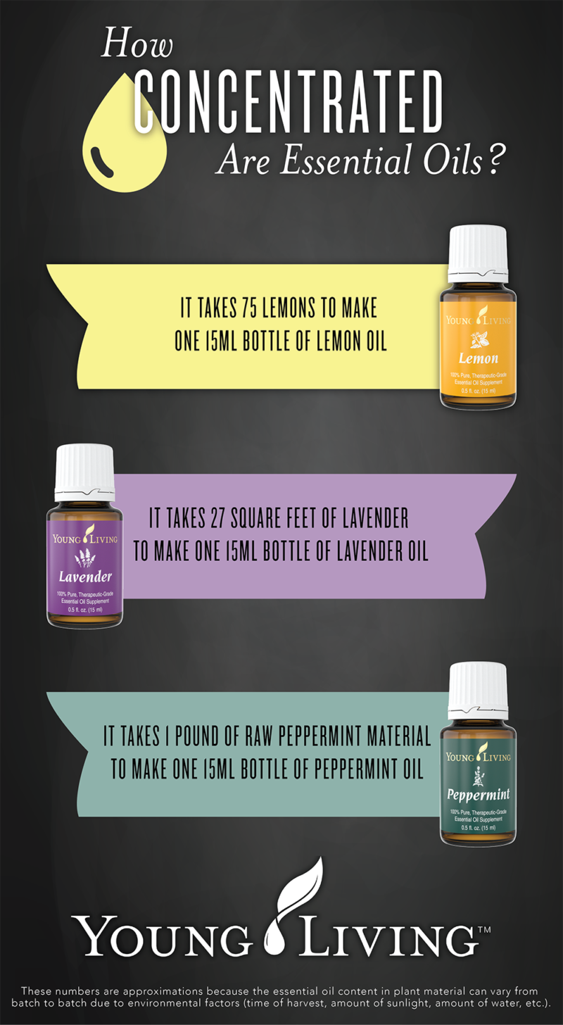 STARTER PACK-Lavender, Frankincense, Peppermint, & Lemon 100% Pure